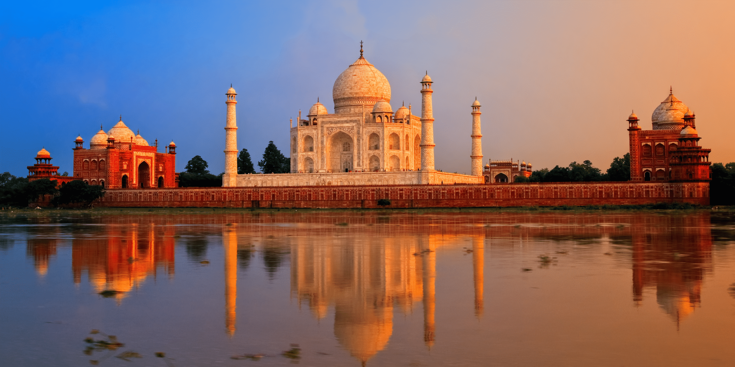 Untitled design - 2025-10-23T210159.185 (1) India